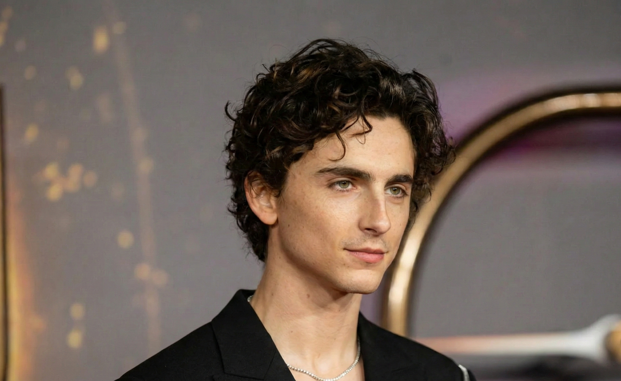 How to get the Timothee Chalamet haircut and side part.